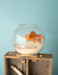 Orange Moor Fish