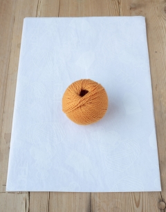 Orange Moor Fish