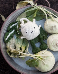 Kohlrabi Kit