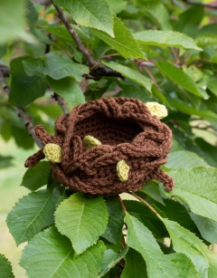 Nest