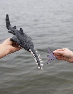 Maya the Sawfish