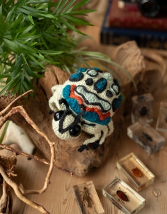 Johan the Picasso Bug