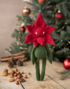 Poinsettia Kit