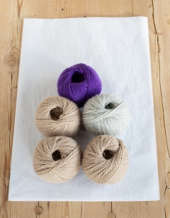 Donna the Christmas Reindeer