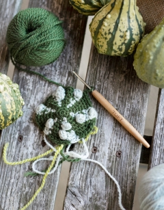 Striped Warty Gourd Kit