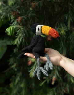 Meghan the Toucan
