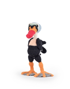 Calder the King Eider Duck