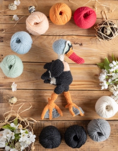 Calder the King Eider Duck