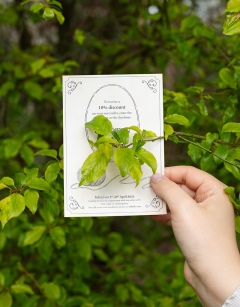 Egg Hunt Three: 10% Discount Voucher