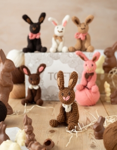 Chocolate Rabbit Discovery Box