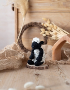 Nativity Discovery Box