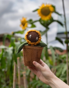 Stack of Coir Pots