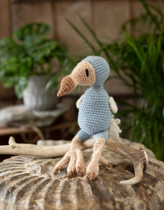 Elizabeth the Dodo