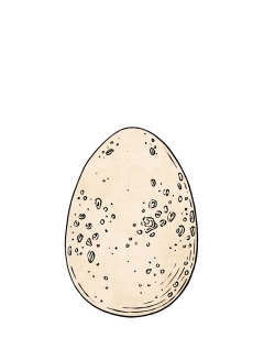 Egg Hunt One: CAL .pdf Pattern