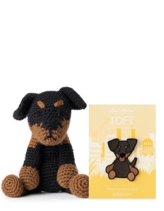 Ray the Manchester Terrier