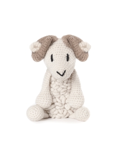 Bryn the Welsh Mountain Sheep