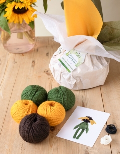 Rudbeckia Kit