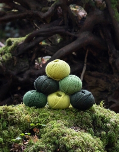 150g DK Foraging Bundle