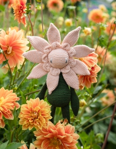 Formal Dahlia Kit