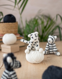 Black and White Discovery Box