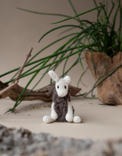 Grasslands Discovery Box