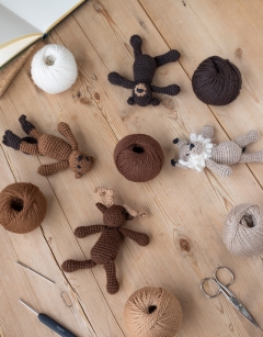 Rockies Discovery Box