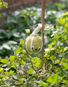 Gooseberry Jam Jar