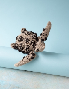 Bessie the Hawksbill Sea Turtle