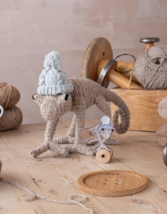 TOFT Homegrown: Pygmy Chameleon