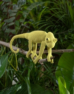 Kerry the Chameleon: Lime