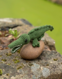 Mini Nicholas the Crocodile Kit