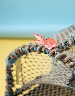Liliane the Langoustine