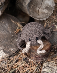 Large Algernon the Woodlouse