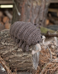 Large Algernon the Woodlouse