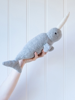 Lewis the Narwhal