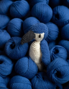 Ariki the Little Blue Penguin 