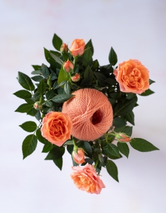 TOFT Peach DK Yarn 25g