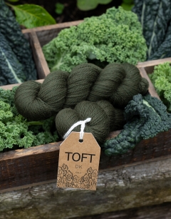TOFT Kale DK Yarn 100g