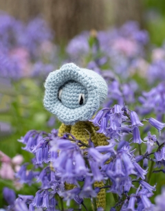 Mini Bluebell