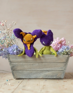 Mini Crocus and Iris Kit