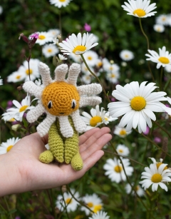 Mini Daisy