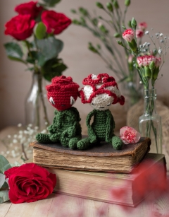 Mini Rose and Carnation Kit