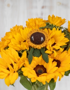 Mini Sunflower