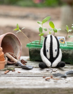 Mini Sunflower Seed