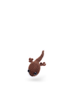 Pip the Tadpole