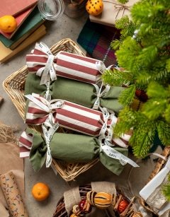 Make and Fill Minibeasts Cracker Bundle