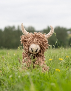 Large Morag the Highland Coo