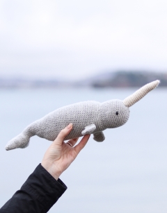 Lewis the Narwhal