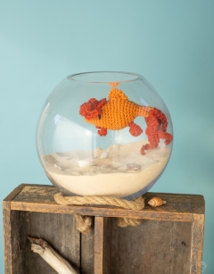 Golden Oranda Fish