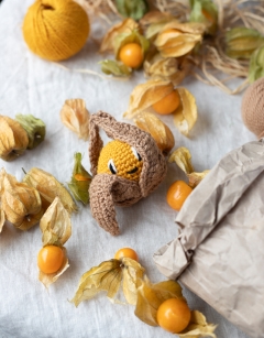 Physalis Jam Jar